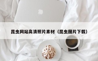 仁寿昆虫网站高清照片素材（昆虫图片下载）